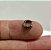 Piercing Argola Folheada Clicker Mymo Grafite - Imagem 1