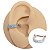 Piercing Argola Folheado Conch Duplo Zircônias - Imagem 1
