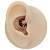 Piercing Argola Clicker em Aço PVD Morcego Yuhan - Imagem 3