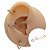 Piercing Argola em Titânio Clicker PDV Half - Imagem 1