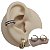 Piercing Argola Clicker em Titânio Athena - Imagem 1