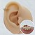 Piercing Argola Clicker Ouro 18K Classic - Imagem 2