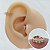 Piercing Argola Clicker Ouro 18K Classic - Imagem 1