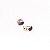 Brinco Argola Clicker Folheado Snake Colors - Imagem 5