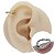 Piercing Argola Clicker em titânio PVD Entrelaçadas - Imagem 1