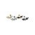 Piercing Labret Titânio 7 Cristais Zircônia - Imagem 2