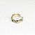 Piercing Argola Folheado Fake Liso Torcidinho - Imagem 2