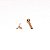 Piercing Microbell Ouro 18K Borboleta - Imagem 5