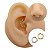 Piercing Argola Clicker em Titânio Seis Zircônias - Imagem 1