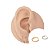 Piercing Argola Clicker Ouro 18K Gisele Slim - Imagem 1