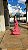 Vestido Malay Ave Rara - Imagem 4