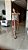 Saia Branet - Imagem 2