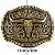 Fivela Country Longhorn 007 - Ouro Velho - Imagem 5