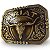 Fivela Country Ariat Bull 023 - Ouro Velho - Imagem 5
