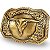 Fivela Country Long Horn 025 - Ouro Velho - Imagem 5