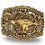 Fivela Country Long Horn Ferradura 045 8x6 - Ouro Velho - Imagem 9
