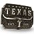 Fivela Country Texas Longhorn 054 8x6 - Envelhecida - Imagem 2