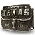 Fivela Country Texas Longhorn 054 8x6 - Envelhecida - Imagem 9