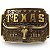 Fivela Country Texas Longhorn 054 8x6 - Ouro Velho - Imagem 1