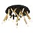 Plafon Sobrepor Manacá Dourado Preto (D)62cm 16W | BD001M - Imagem 1