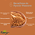 Açúcar mascavo - 500g – Natural e Rico em Nutrientes | Kippys Natural - Imagem 5