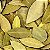 Louro em folhas secas para chá ou uso culinário - 30g - Imagem 2