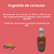 Kombucha  - Chá fermentado probiótico - bebida gaseificada naturalmente -  kit 15 unidades de 300ml cada | Kippys Natural - Imagem 5