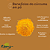 Cúrcuma em pó, premium 100% pura - 100g - Saúde e Sabor em Cada Colher | Kippys Natural - Imagem 5