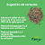 Chá verde "camellia sinensis" - 100g - Energia, Saúde e Longevidade em Uma Planta Poderosa - Imagem 4