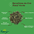 Chá mate verde - 100g - Poderoso antioxidante natural | Kippys Natural - Imagem 4