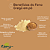 Feno grego em pó - alholva 1kg ATACADO - Natural, Saudável e Cheio de Benefícios | Kippys Natural - Imagem 5