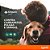 Simparic 80mg Antipulgas para Cães de 20,1 a 40kg 1 Comp - Imagem 3