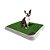 Tapete Higiênico de Grama Natural para Cães BrinqPet Lavável - Imagem 1