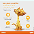 Antipulgas e Vermífugo Advocate Elanco para Gatos de 4 a 8kg 0,8ml Econômico - Imagem 2