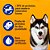 Ração Úmida Pedigree High Protein para Cães Adultos Sabor Carne e Frango 85g - Imagem 2