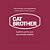 Ração Cat Brother para Gatos Adultos e Filhotes 1Kg - Imagem 3