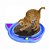 Brinquedo Cat Crazy Pet Injet para Gatos Cores Variadas - Imagem 3