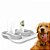 Comedouro e Bebedouro Flex Gourmet para Cães e Gatos 650ml - Imagem 3