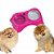 Comedouro Postura Correta Cães Mini/Pequeno Rosa - Imagem 2