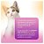 Suplemento Vitamínico Ducats Care Milk Para Gatos 280ml - Imagem 3