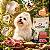 Ração Origens Natural Cão Adulto Mini e Pequeno Porte Ovelha 10,1kg - Imagem 5