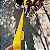 PEITORAL - Imagem 10