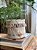 Cachepot linho M estampa Lia 5394 - Imagem 1