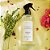 HOME SPRAY LEMONGRESS + LIMAO SICILIANO 250ML - Imagem 1