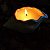 VELA CONCHA DO MAR - Imagem 6