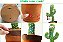 Cactus dançante - Imagem 3