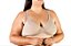 Sutiã sem bojo Renda Plus Size - Imagem 1