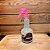 PULVERIZADOR LUXO 500ML NOBRE ROSA - Imagem 2