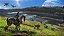 Avatar Frontiers of Pandora - PlayStation 5 (Lacrado) - Imagem 2