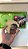 LEGO The Hobbit – Xbox One (Seminovo) - Imagem 3